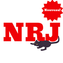 Radio NRJ Gratuit Hit Music Only en Ligne France APK