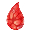 Easy Blood