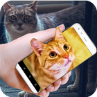 Cat On Mobile Screen Fun icône
