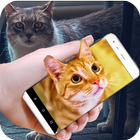 Cat On Mobile Screen Fun أيقونة