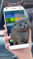 برنامه‌نما Cat On Mobile Screen Fun عکس از صفحه