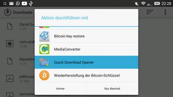 Quick Download Opener Affiche