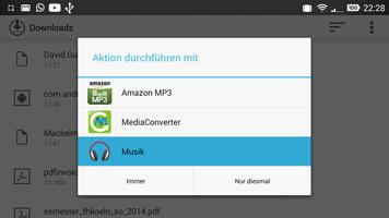 Quick Download Opener capture d'écran 1