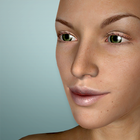 Face Model - 3D Head pose tool icône