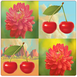 Flower Match Game