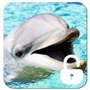 APK Dolphins Ocean Lock Screen