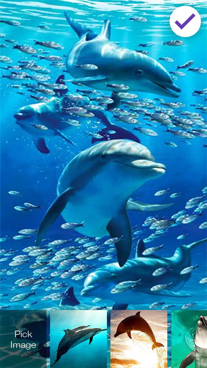 Android向けのイルカ海のロック画面 Apkをダウンロードしましょう