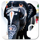 Indian Elephant Screen Lock