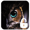 écran de verrouillage Owl