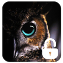 Owl Screen Lock APK