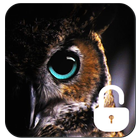 Owl Screen Lock biểu tượng