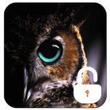 écran de verrouillage Owl icône