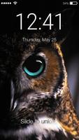 Poster Owl Screen Lock