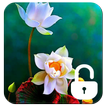 Lotus Flower Screen Lock