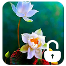 Lotus écran de verrouillage de fleurs APK