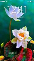 Lotus Flower Screen Lock পোস্টার