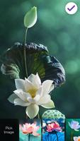 Lotus Flower Screen Lock 截圖 2