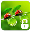 Ladybug Lock Screen