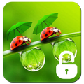 Ladybug Lock Screen