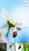 2 Schermata Ladybug Lock Screen