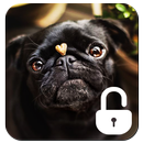 APK Pug Dog Screen Lock