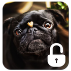 Pug Dog Screen Lock ไอคอน