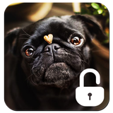 آیکون‌ Pug Dog Screen Lock