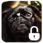 écran de verrouillage de chien de roquet icône