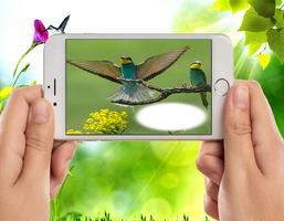 New Bird Wallpapers ภาพหน้าจอ 3