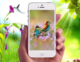 برنامه‌نما New Bird Wallpapers عکس از صفحه