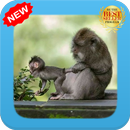 Amazing Mom Animal APK