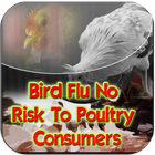 Bird Flu No Poultry Consumers icône