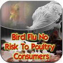 Bird Flu No Poultry Consumers APK