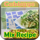 Cabbage Mix Recipe APK