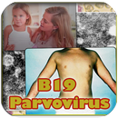 B19 Parvovirus APK
