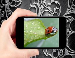 Awesome Raindrop Photo capture d'écran 1