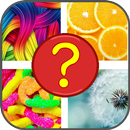 4 pics 1 word for kids APK