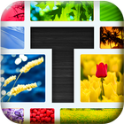 Text on Pic icon