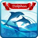Free  Dolphin Wallpaper 4K APK