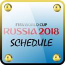 Football world cup match timings APK