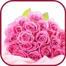 Beautiful Rose Wallpapers APK