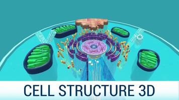 Cell Structure 3D Plakat