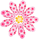 Flowers Art Color by Number APK