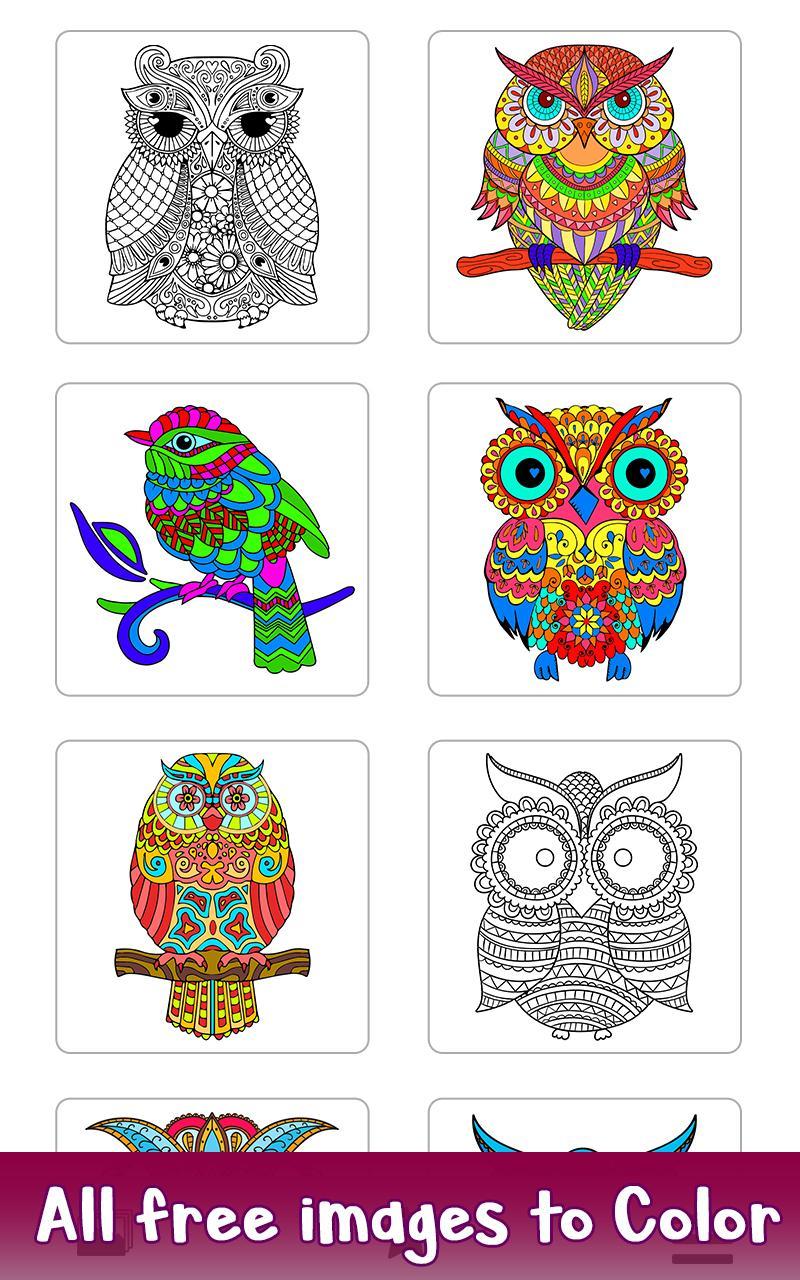 Owl Color by Number - Birds Coloring Book Pages for Android - APK Download