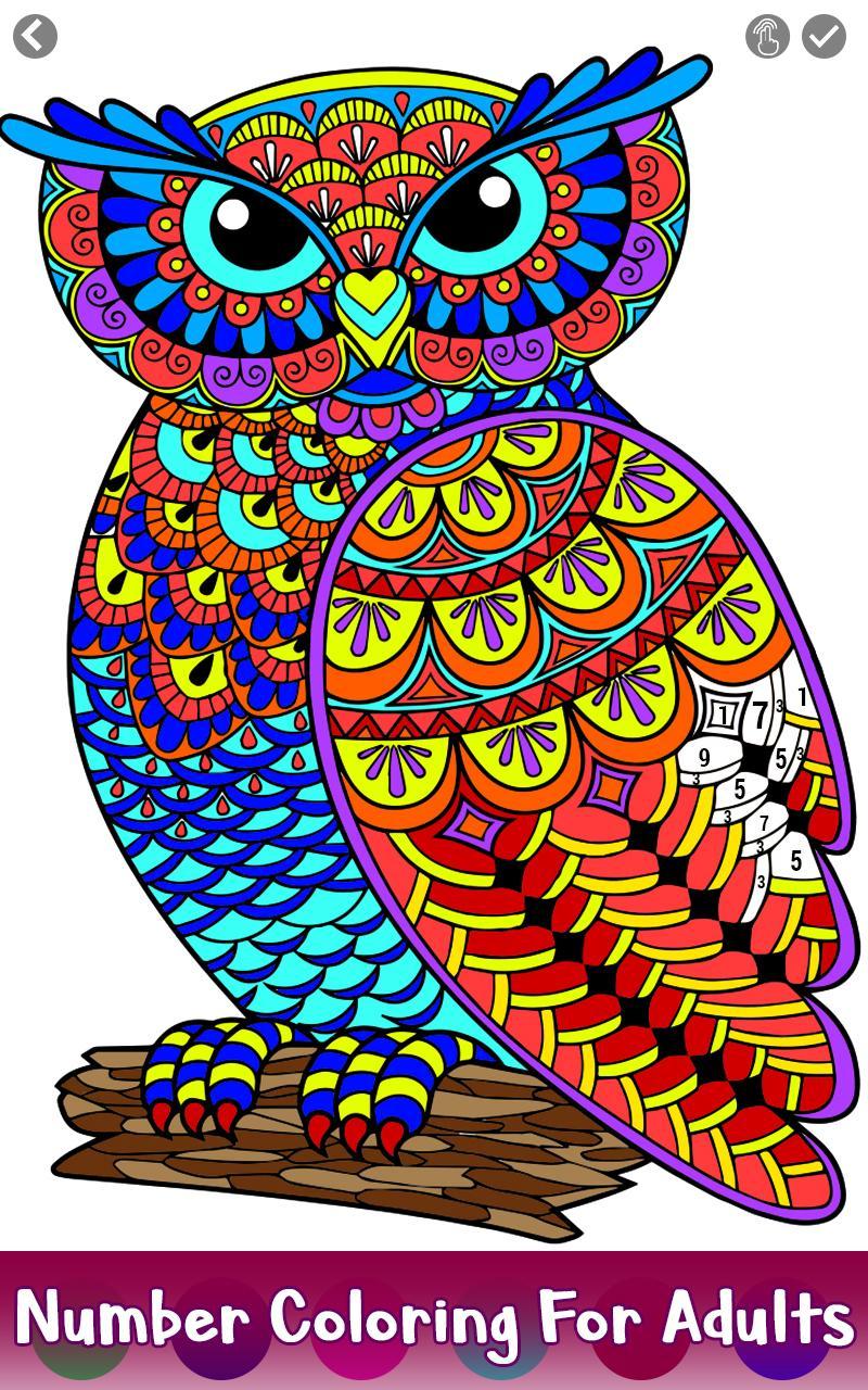 Download 171+ Birds Color By Number Coloring Pages PNG PDF File