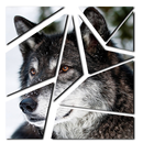 Tangram Picture Color Puzzle APK