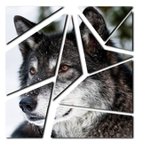 Tangram Picture icon