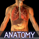 Human Visual Anatomy Atlas 3D - Bones Organs 2018 APK