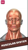 Human Visual Anatomy Atlas 3D - Bones Organs 2018 poster