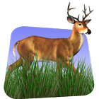 Deer Hunter 3D icono